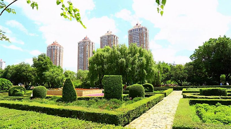 绿植租摆：优势与挑战并存