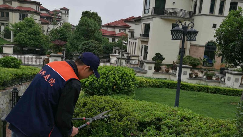 小区绿化验收价格揭秘：影响因素与合理评估**