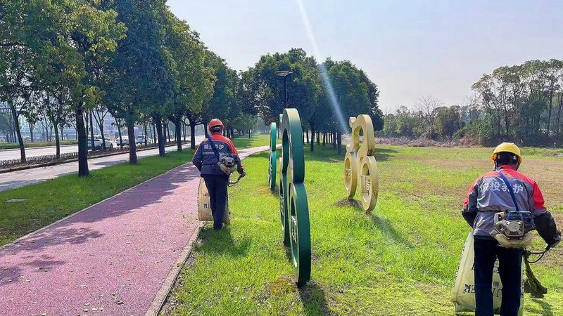 绿化养护药剂规格书：揭秘其核心要素与选购要点**