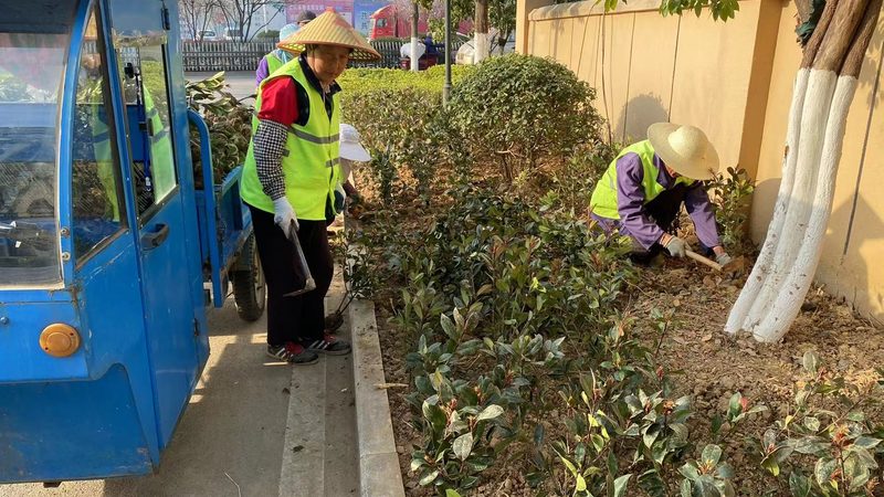 绿化资质与市政资质：含金量对比解析