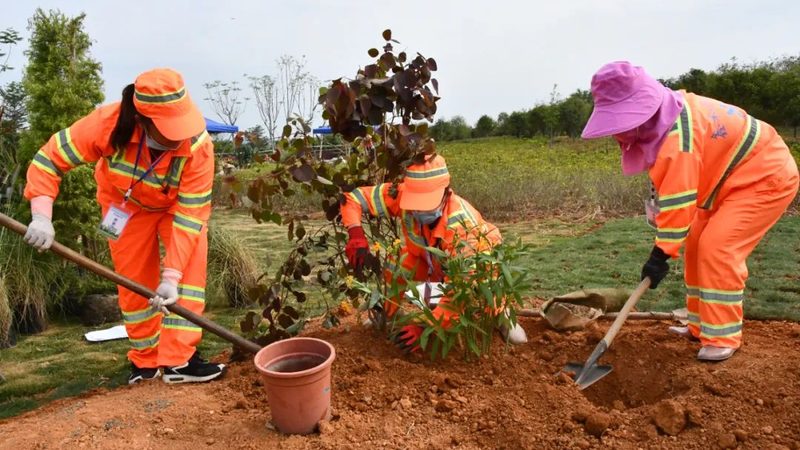 绿化工程资质报价清单：解读与选择要点**