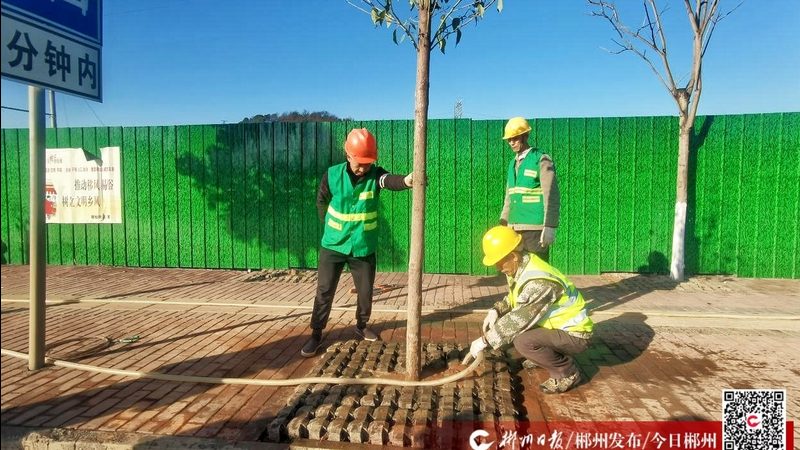 绿化灌溉系统水泵选型：关键参数解析**