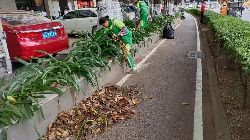 小区绿化工程步骤流程详解
