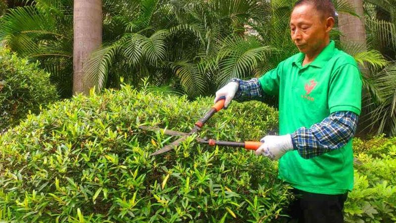 成都园林景观设计公司排名：揭秘优质设计背后的考量因素