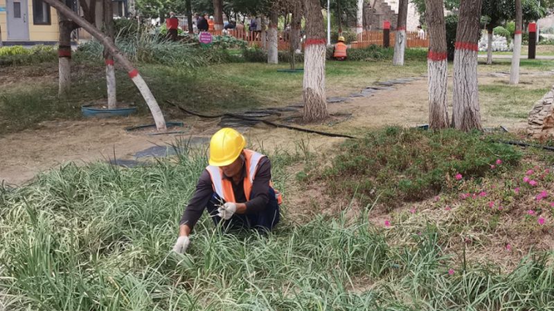 成都办公室绿化养护费用，你了解多少？**
