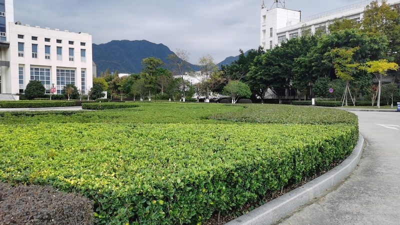 揭秘假山喷泉仿真石头定制：工艺与选型的关键要素