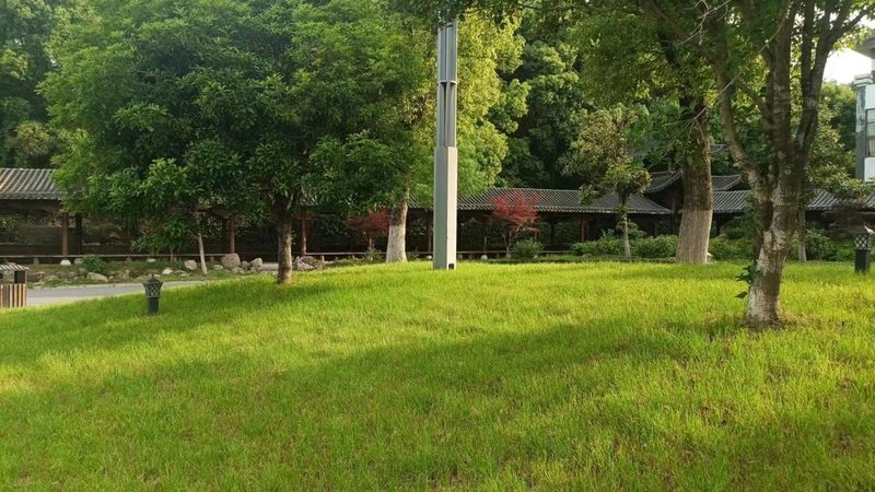 垂直绿化定制：突破空间限制，打造城市绿意新篇章