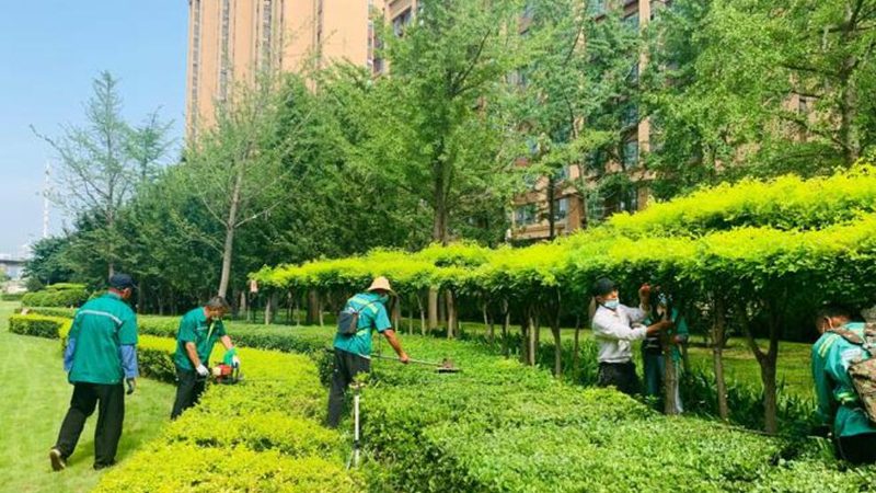 道路绿化工程清单定额套用：标准解读与实操要点